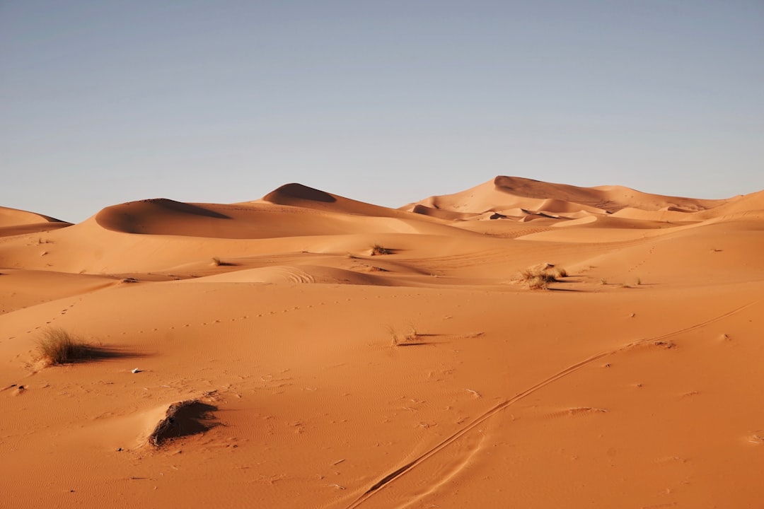 Photo Desert landscape